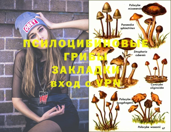 мескалин Беломорск