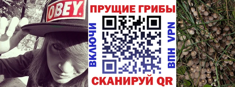 Галлюциногенные грибы мухоморы MEGA маркетплейс Калининец