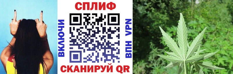 МАРИХУАНА MAZAR  где можно купить   Калининец 
